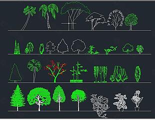 园林立面植物图