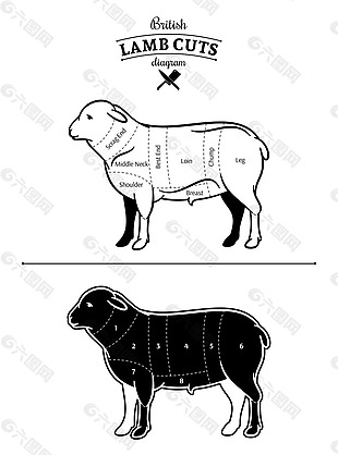 黑白时尚绵羊插画