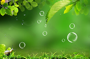 清新绿色树叶水滴背景