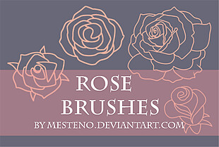 漂亮的玫瑰花线框图形PS笔刷素材