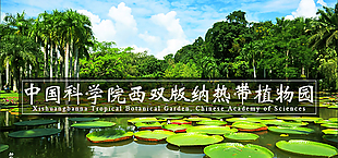 中国科学院西双版纳热带植物园