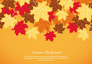 DD Autumn Background