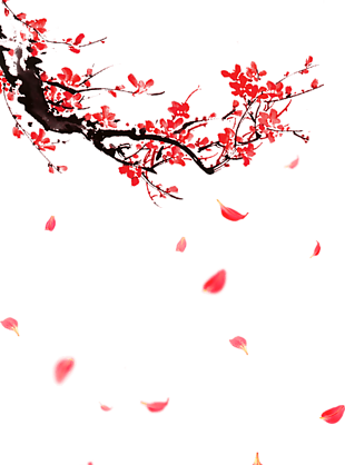 古风红色梅花和漂落的花瓣