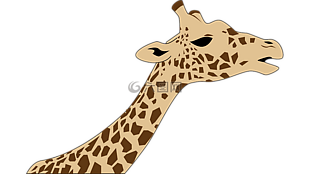 长颈鹿,野生动物园,动物园