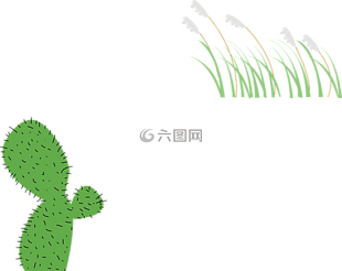 植物,仙人掌,芦苇