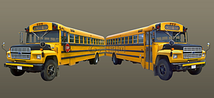 校车,巴士,学校
