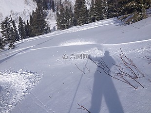 滑雪,雪,粉
