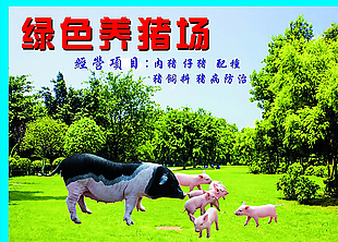 养猪场广告牌图片