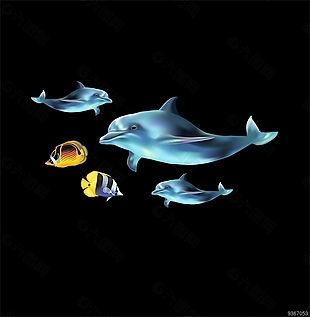 海底世界 鱼群 海底鱼