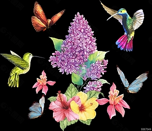 蝴蝶 鸟 植物园 花素材