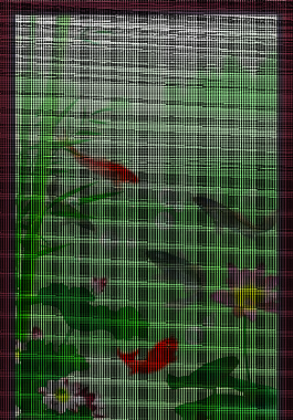 中国风艺术荷花和鱼儿海报背景