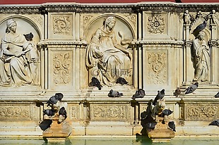 鸽子,历史,喷泉