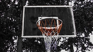篮球,运动,净