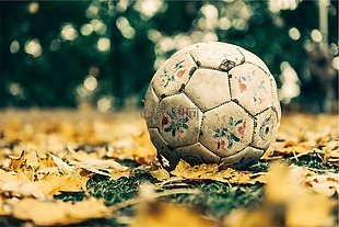足球,球,体育