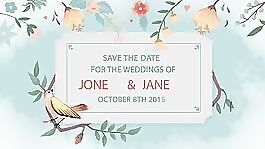 水彩鲜花中清新美好的婚礼视频请柬AE模板