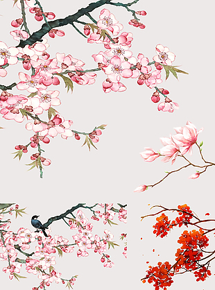 中国风手绘花鸟植物素材集合
