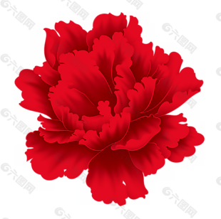 大红花