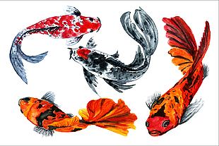 中国风鲤鱼水彩画图案设计