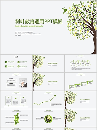 简约绿色树叶教育教学课件通用PPT模板