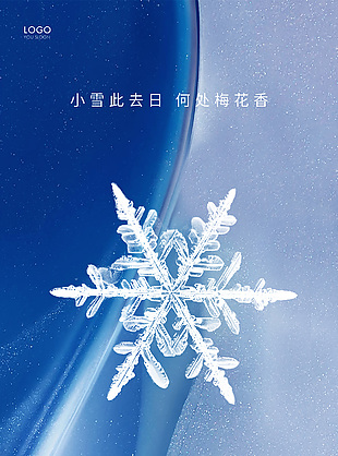 商务风小雪节气雪花元素宣传海报