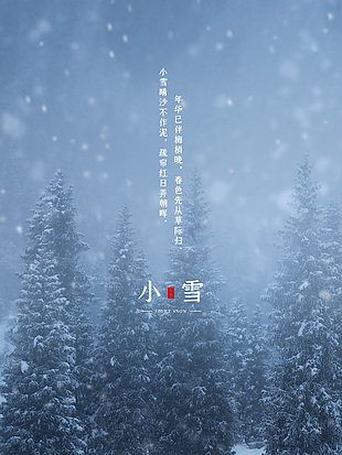 小雪节气下雪天的松树摄影图海报