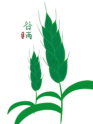 绿色手绘二十四节气之谷雨麦子素材