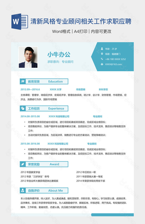 清新风格专业顾问相关工作求职应聘简历