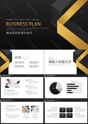 黑金高端创意商业项目投资计划书