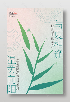 温柔向阳与夏相逢立夏节气海报