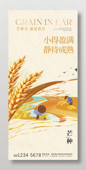 芒种至盛夏将至夏季节气宣传海报