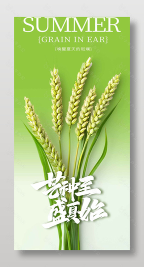 芒种时节麦穗元素简约绿色海报