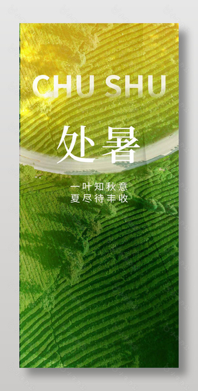 24节气处暑绿植摄影大气海报设计