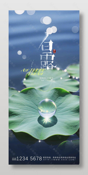 白露节气荷塘背景摄影风高清海报设计