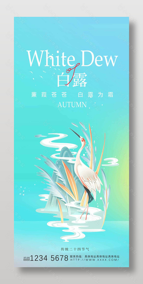 白露传统二十四节气简约插画风海报