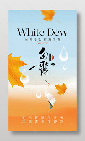 白露节气枫叶元素简约手机海报